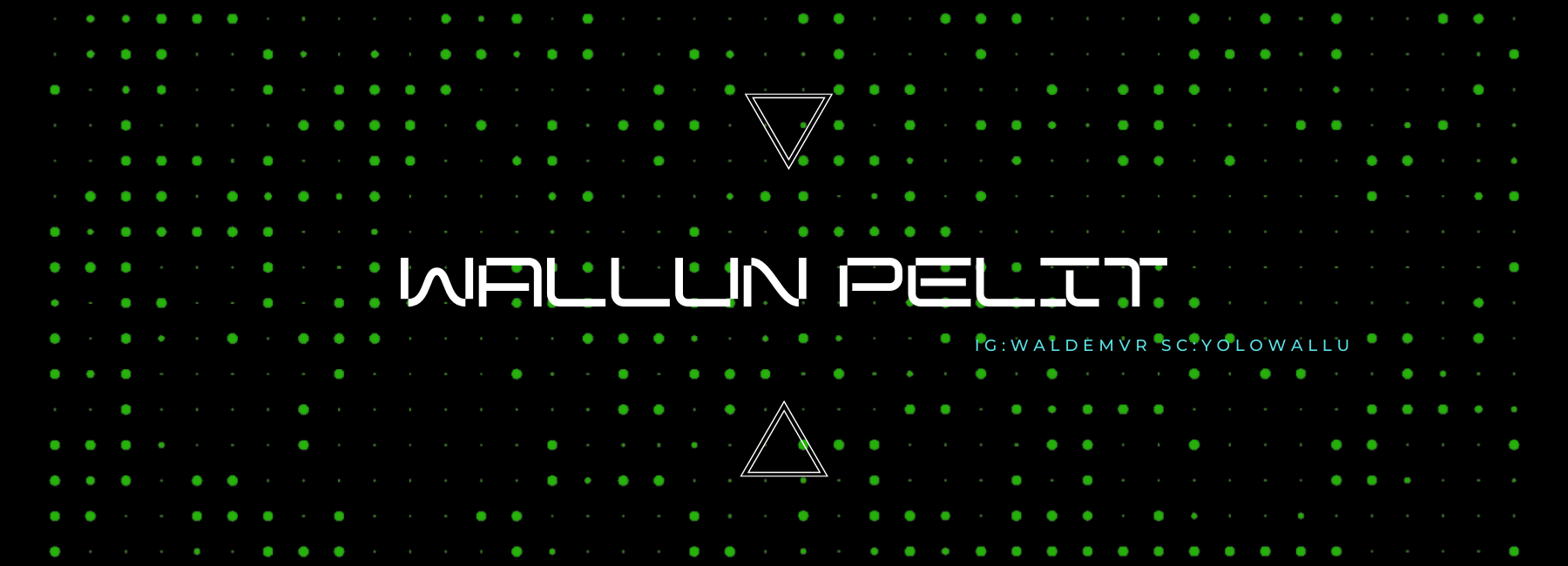 Wallun pelit – Waldemar Kettunen